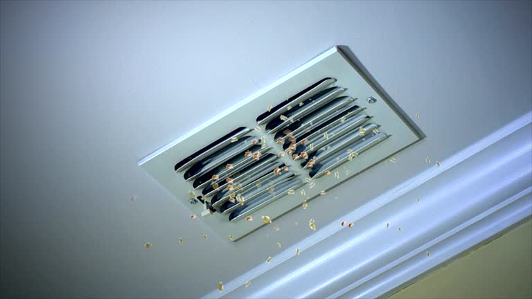 Best Best Air Duct Cleaning Company  in Loves Park, IL