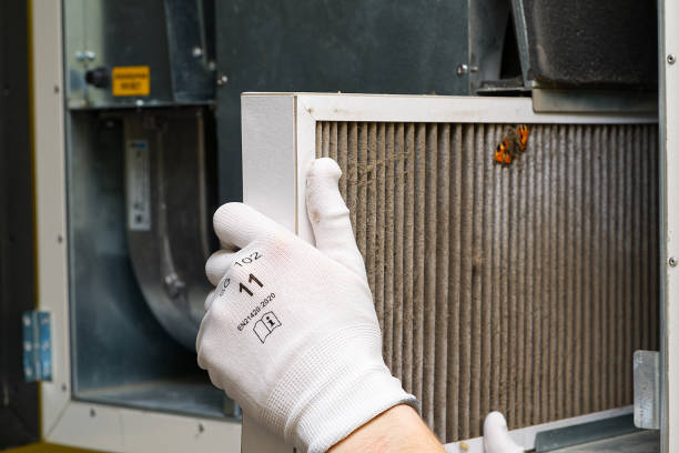 Best Professional Duct Cleaning Services  in Loves Park, IL