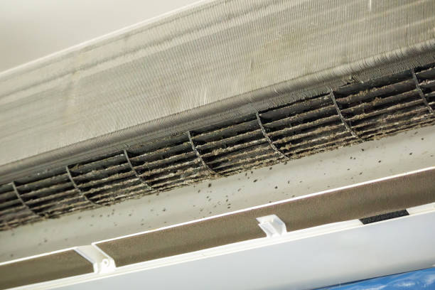 Best Duct Cleaning for Homes  in Loves Park, IL